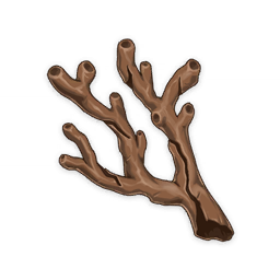 coral-branch-of-a-distant-sea coral-branch-of-a-distant-sea